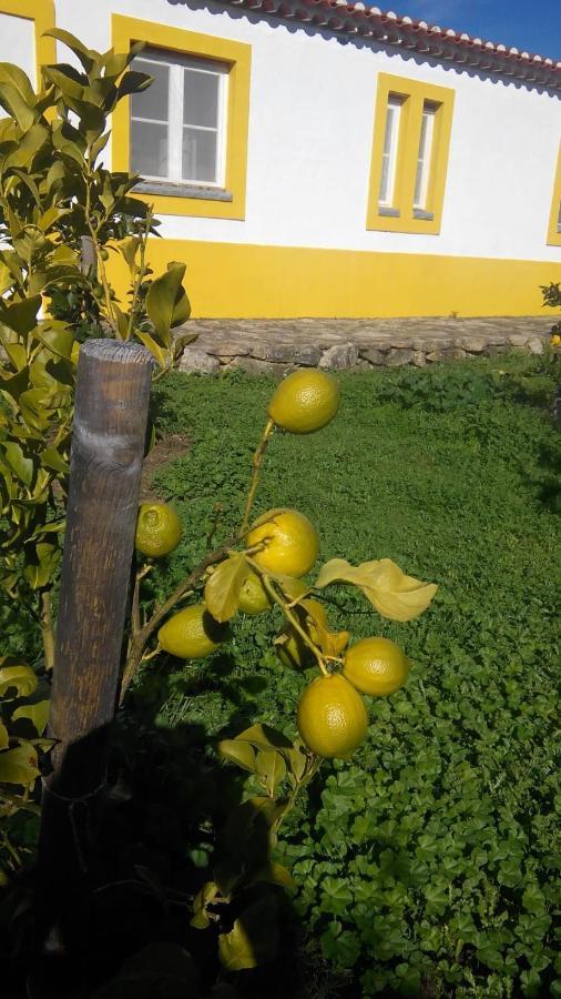 Casa Das Amoras Santo António das Areias Extérieur photo